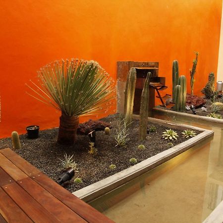 Coyoacan - Inn Мехіко Екстер'єр фото