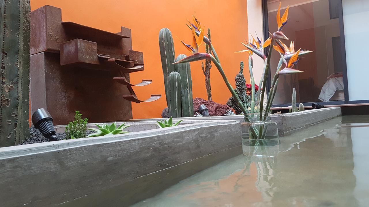 Coyoacan - Inn Мехіко Екстер'єр фото