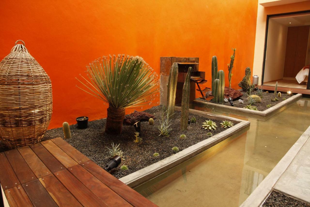 Coyoacan - Inn Мехіко Екстер'єр фото